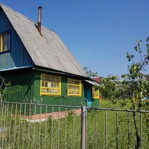 Продам дачу в Мозырском районе (в садовом товариществе Загорины)