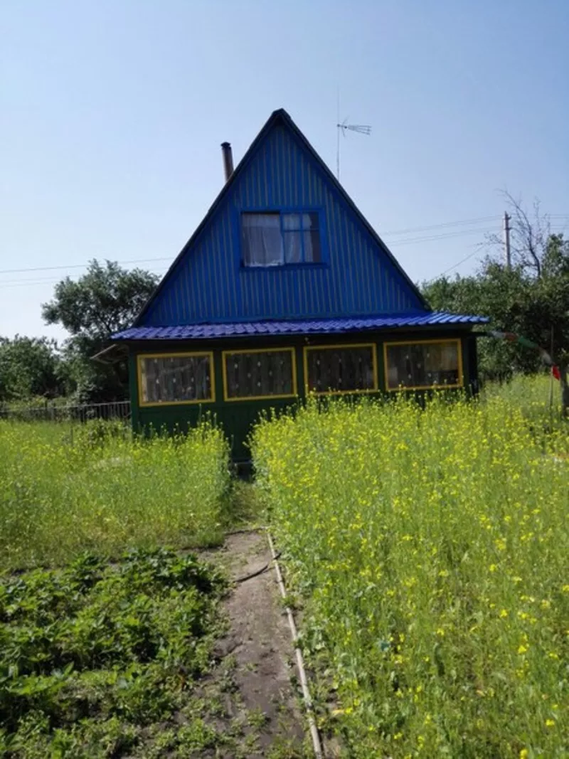 Продам дачу в Мозырском районе (в садовом товариществе Загорины) 2
